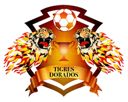 http://tigresdoradosmrci.us/wp-content/uploads/2020/01/tigres-dorados-logo.png